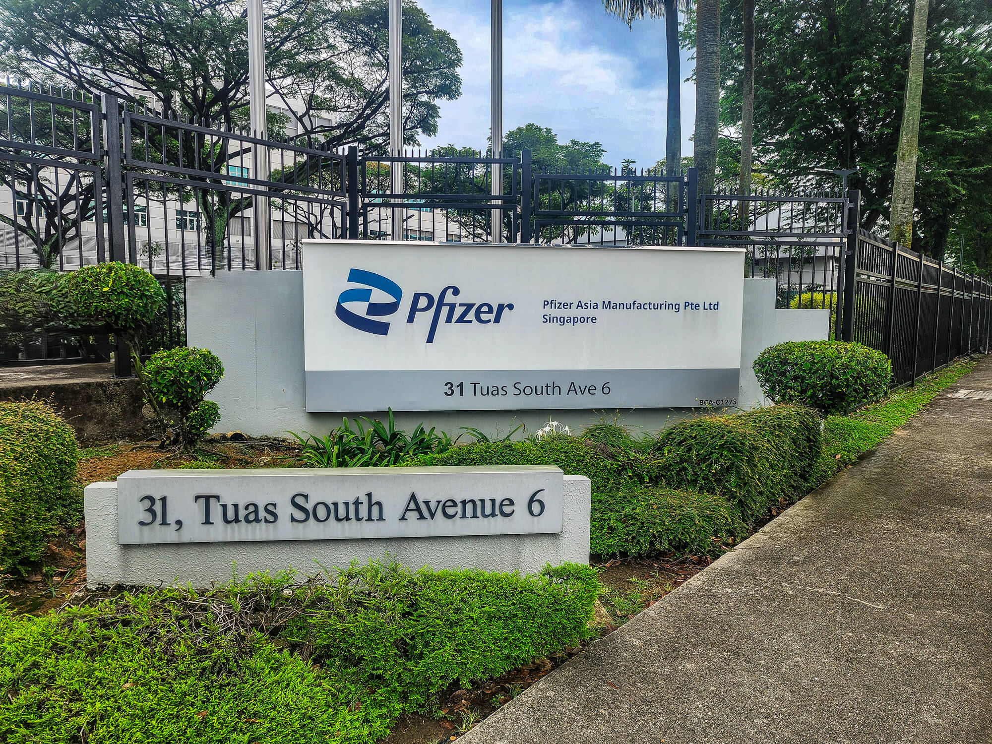 image for Pfizer